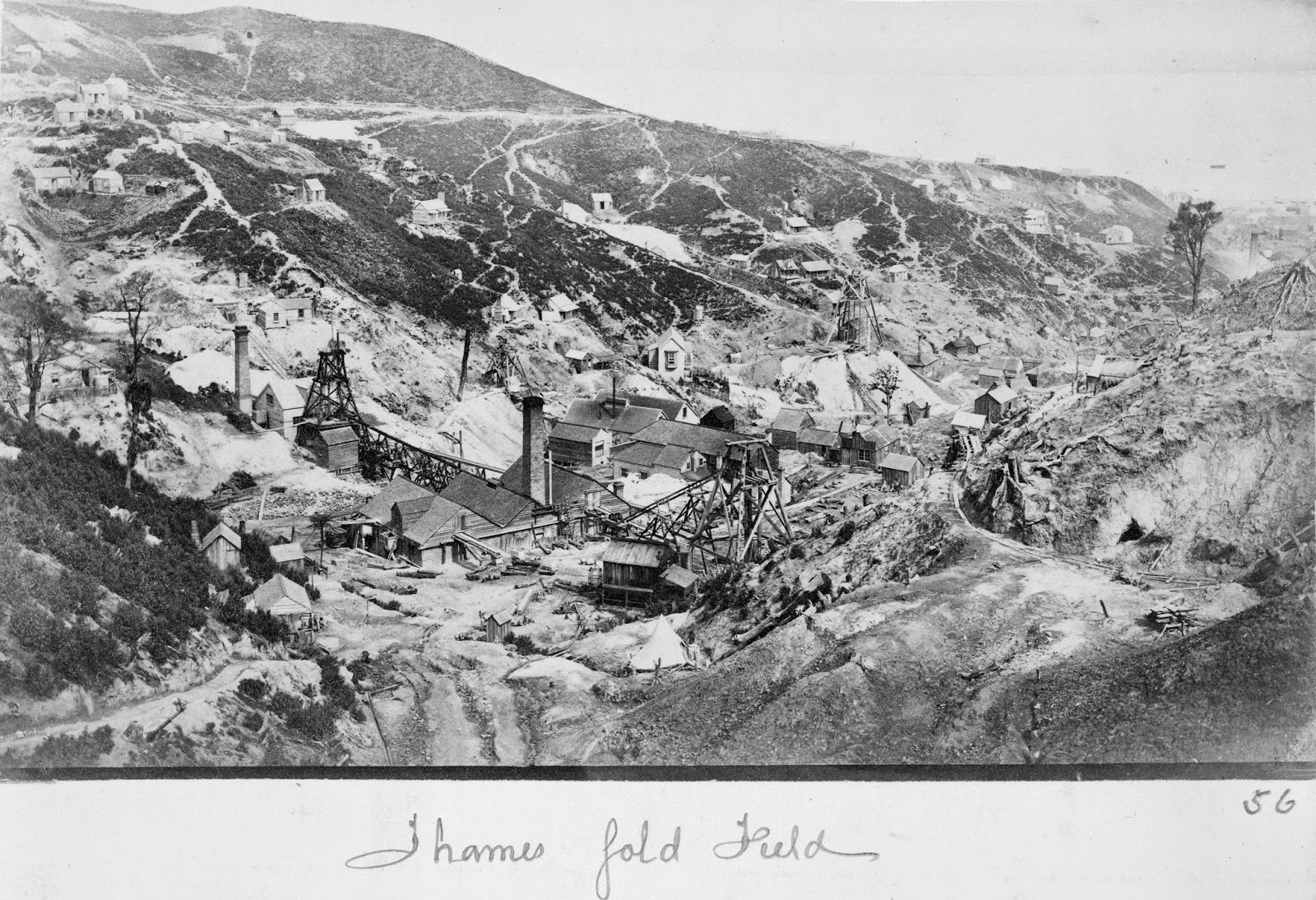 Thames NZ Genealogy & History Resources Thames (NZ) Gold mining