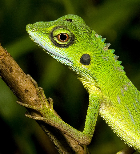 552066617 735940b382