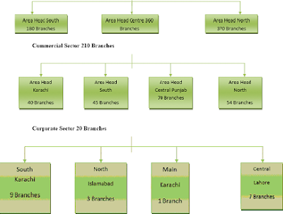 lokoi ob mcb limited project pakistan federal court system structure chart