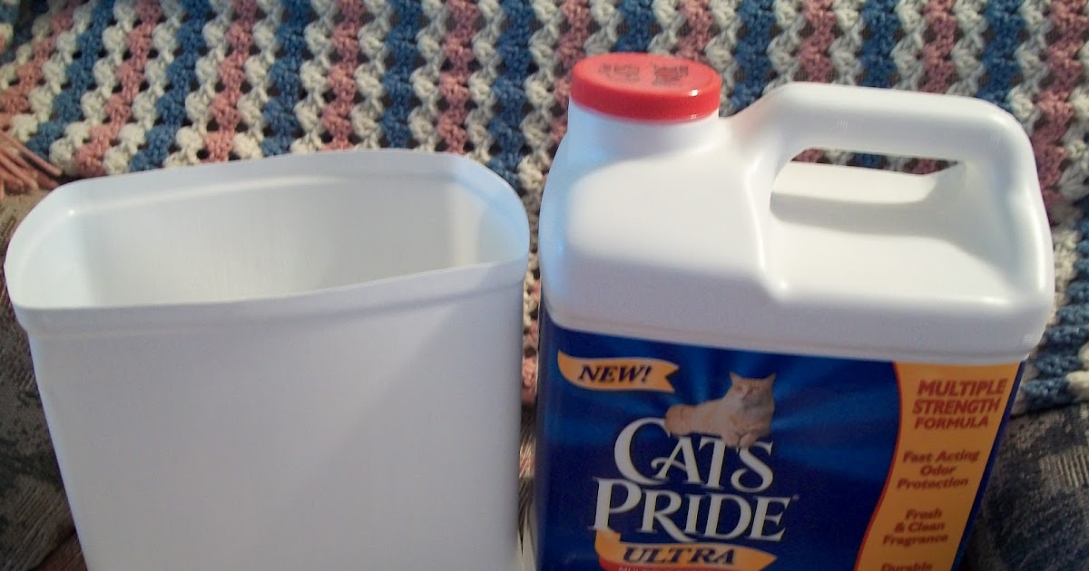 Cats, Kids and Crafts Recycle Cats Pride Container Garden