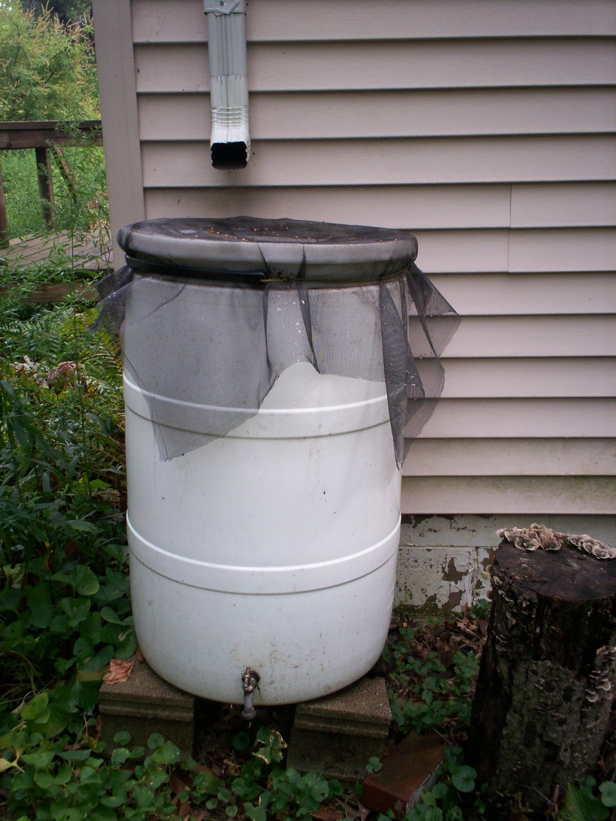 Fun with Rain Collection resilience