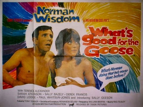 What’s Good For The Goose poster What’s Good For The Goose poster