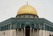 Prayer Finder (Prayer Times & Islamic Organizations)