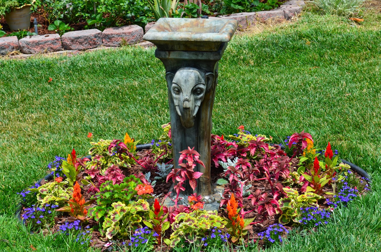 Entertaining From an Ethnic Indian Kitchen: Garden tour 1