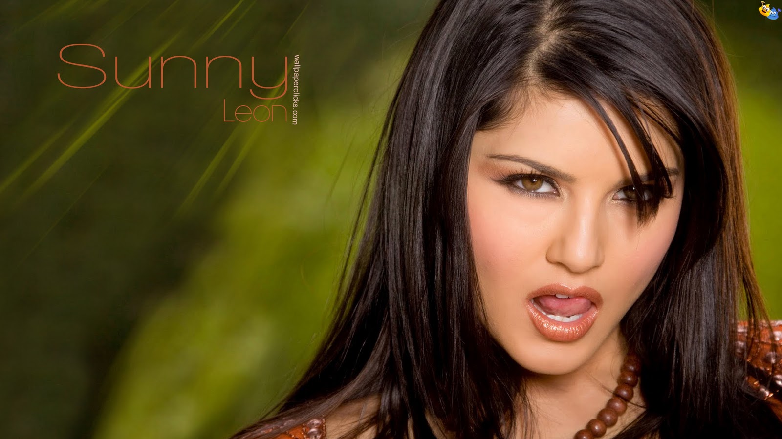 Top 101 Reviews: Sunny Leone HD Wallpapers 2012