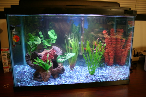 Hubungi Kami Di Senarai Harga Akuarium Dekorasi