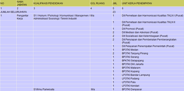 Lowongan CPNS 2012 BNP2TKI 