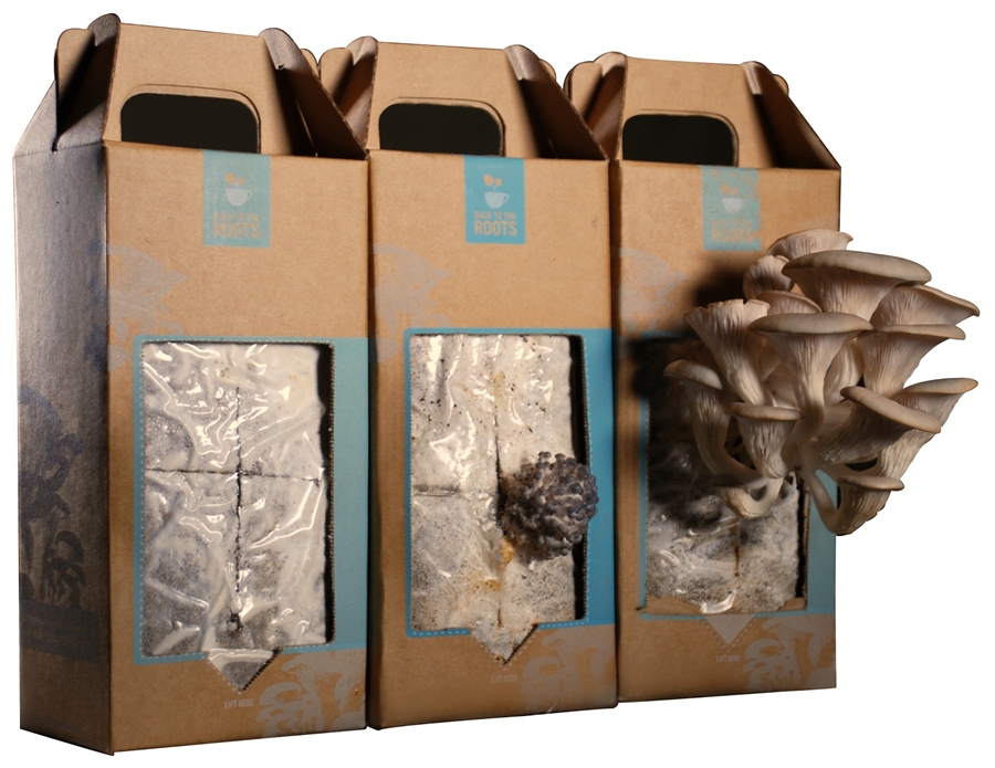 Back to the Roots Gourmet Garden Growitathome Mushroom Kit Review