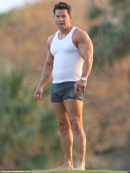 Celebrities In Undiez Mark Wahlberg Grey Boxer Briefs