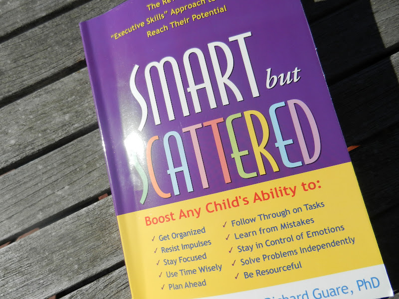 beauty of everyday life executive function