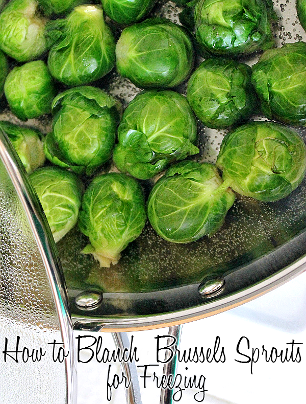 How to blanch Brussels Sprouts for shocking and flash freezing. Enjoy fresh Brussels Sprouts any time of the year!