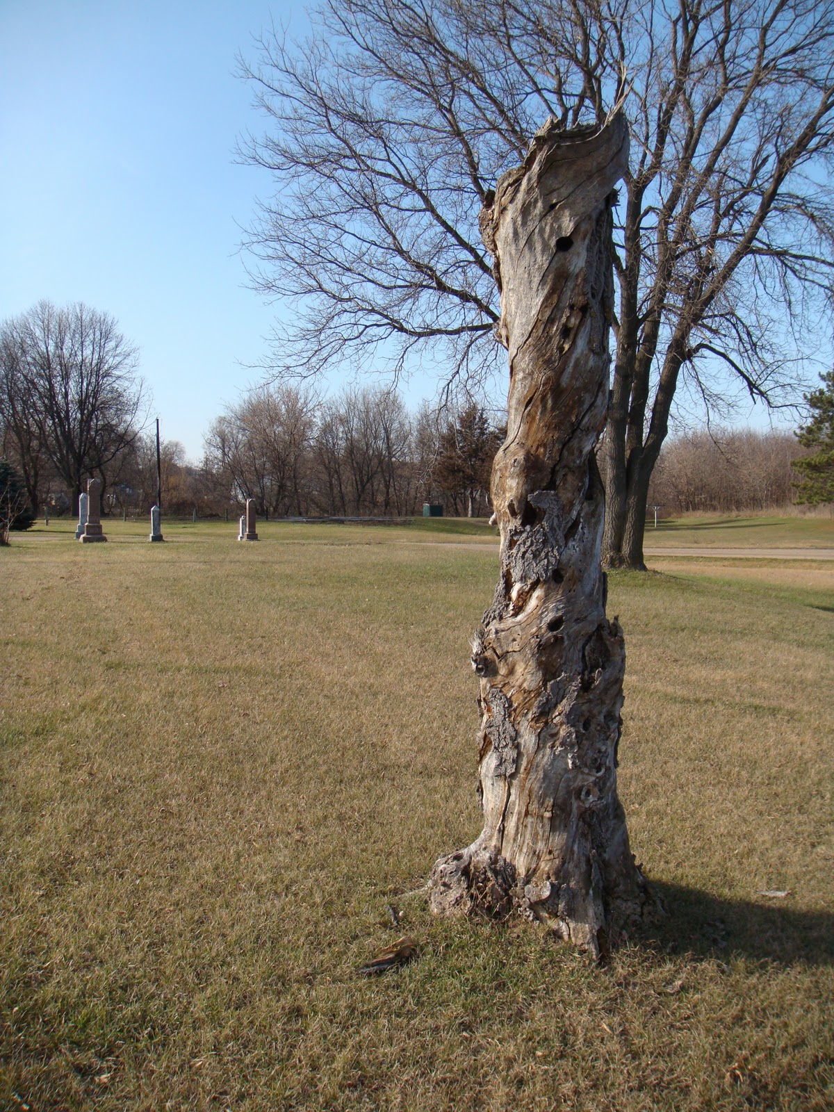 Minnesota Cemeteries Pioneer Cemetery (Morrison County) Swanville