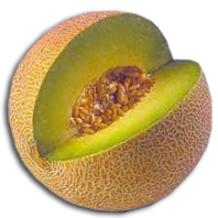 Buah Melon