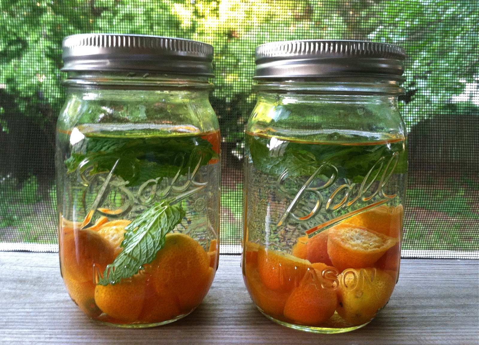 Sugar + Oysters Mint and KumquatInfused Vodka