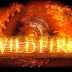 Kolmården libera primeiro teaser da montanha russa de madeira WildFire