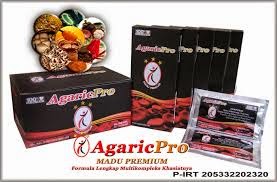 agaricpro2.jpg