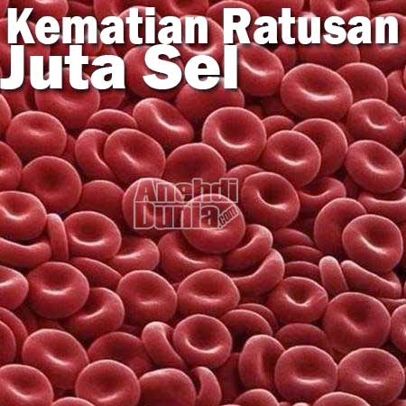 100 Bintang Porno Terbaik versi Complex.com