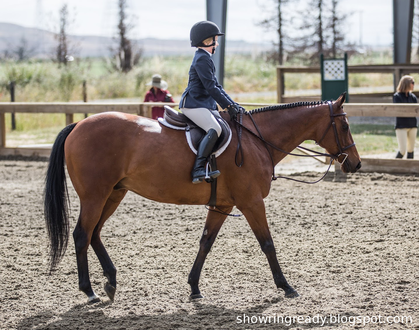 Show Ring Ready Turnout Critique 17