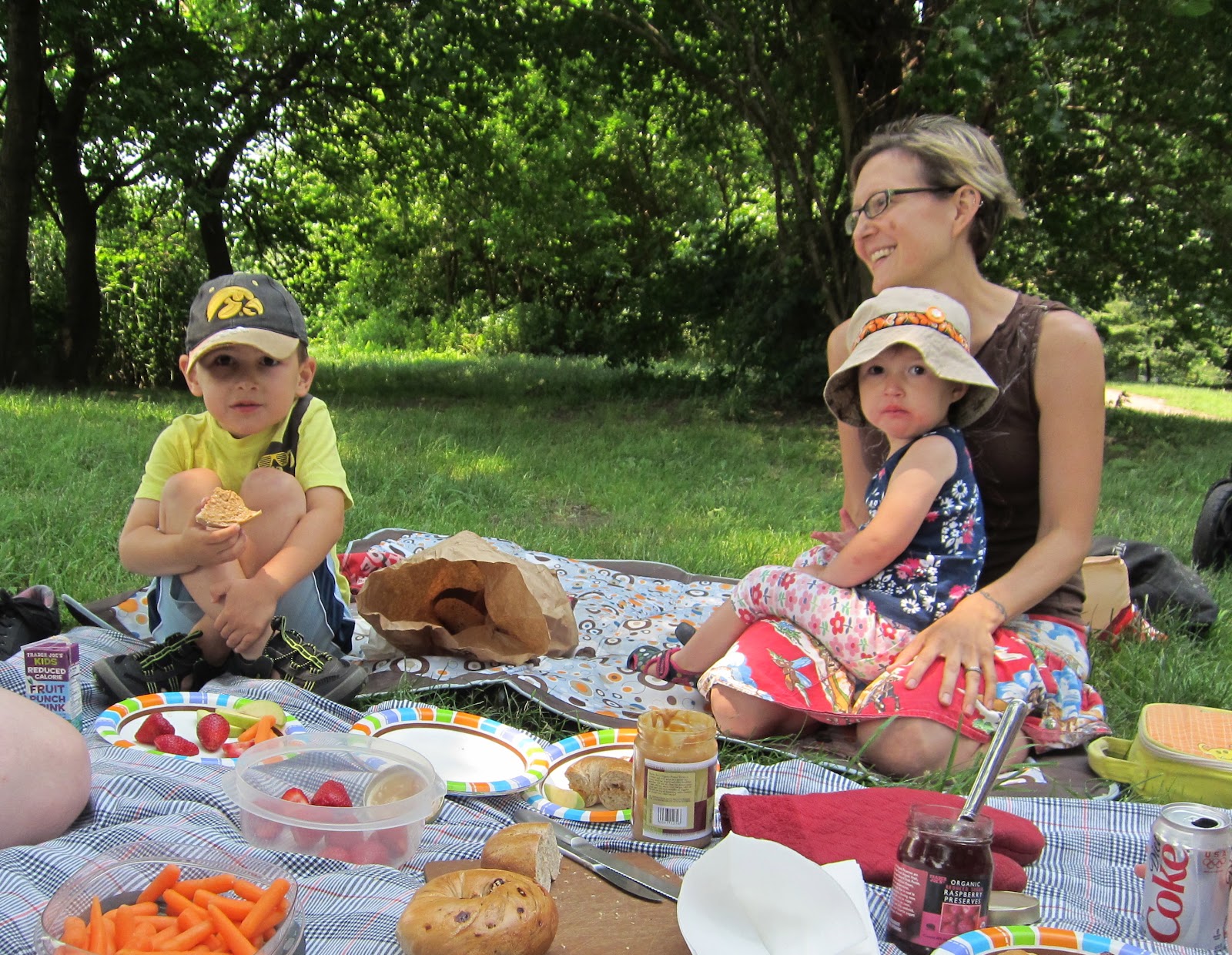 Lunch in Prospect Park, Dinner over Greenland, Breakfast in Dublin and Lunch in Venice Lee