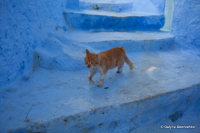 В Марокко через Европу на собственном авто