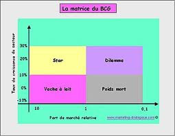 Expert Marketing La Matrice Bcg