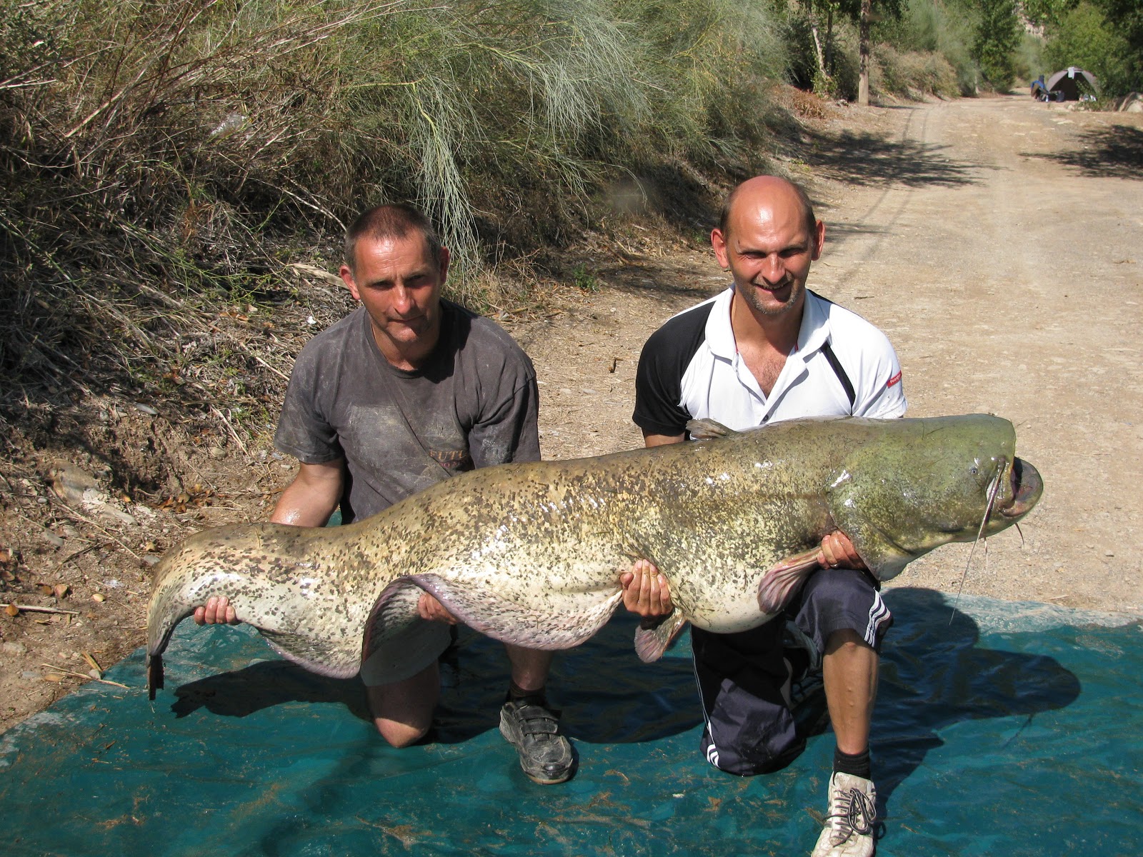 Go Fishing With Cadbury Angling Catfishing in Spain With CatMaster