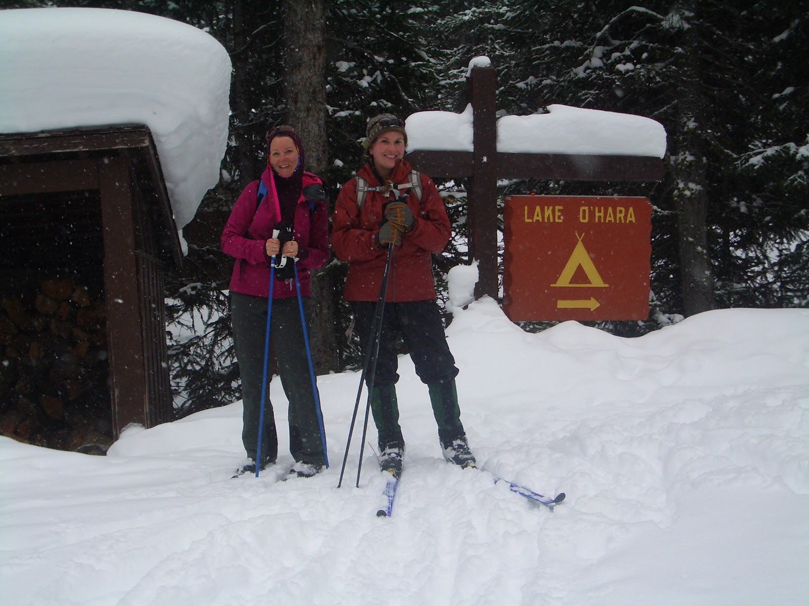 Family Adventures In The Canadian Rockies Wild Mountain Girls Our Lake O Hara Winter Adventure