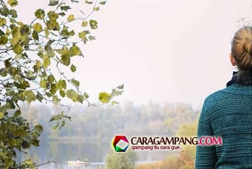 Cara Mendapatkan Berat Badan Ideal Tanpa Rasa Sakit thumbnail postingan