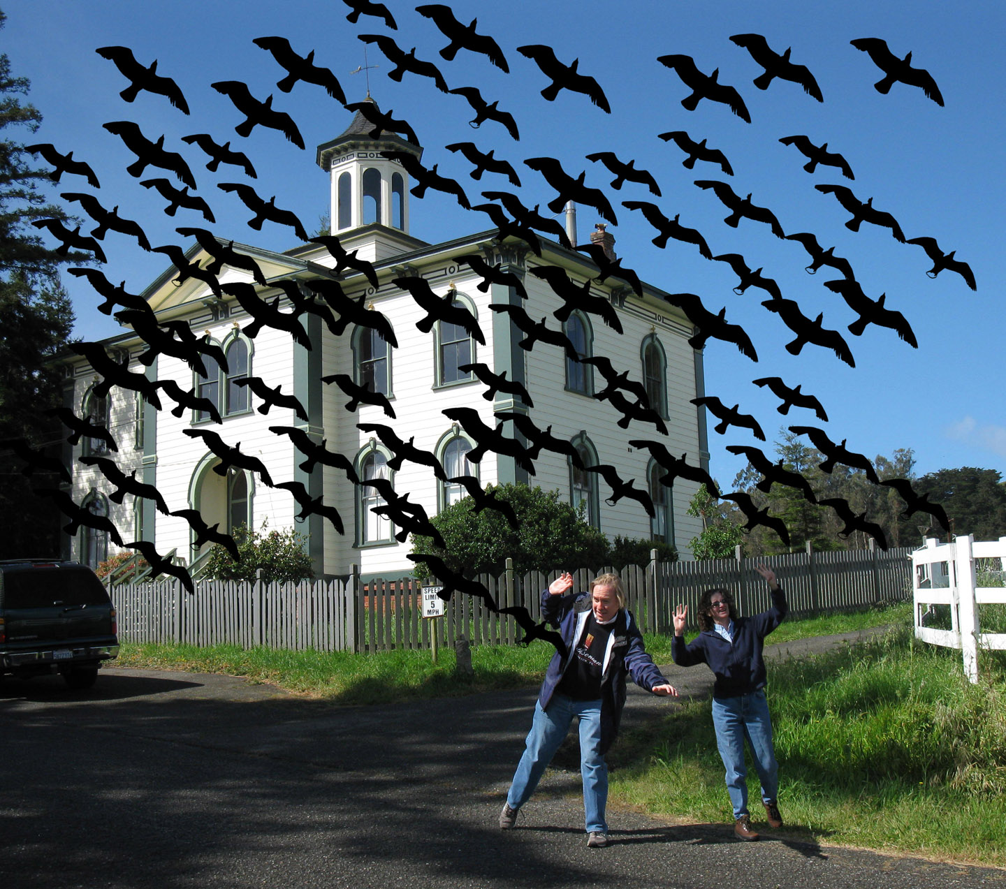 Eccentric Roadside For "The Birds" Bodega and Bodega Bay, California