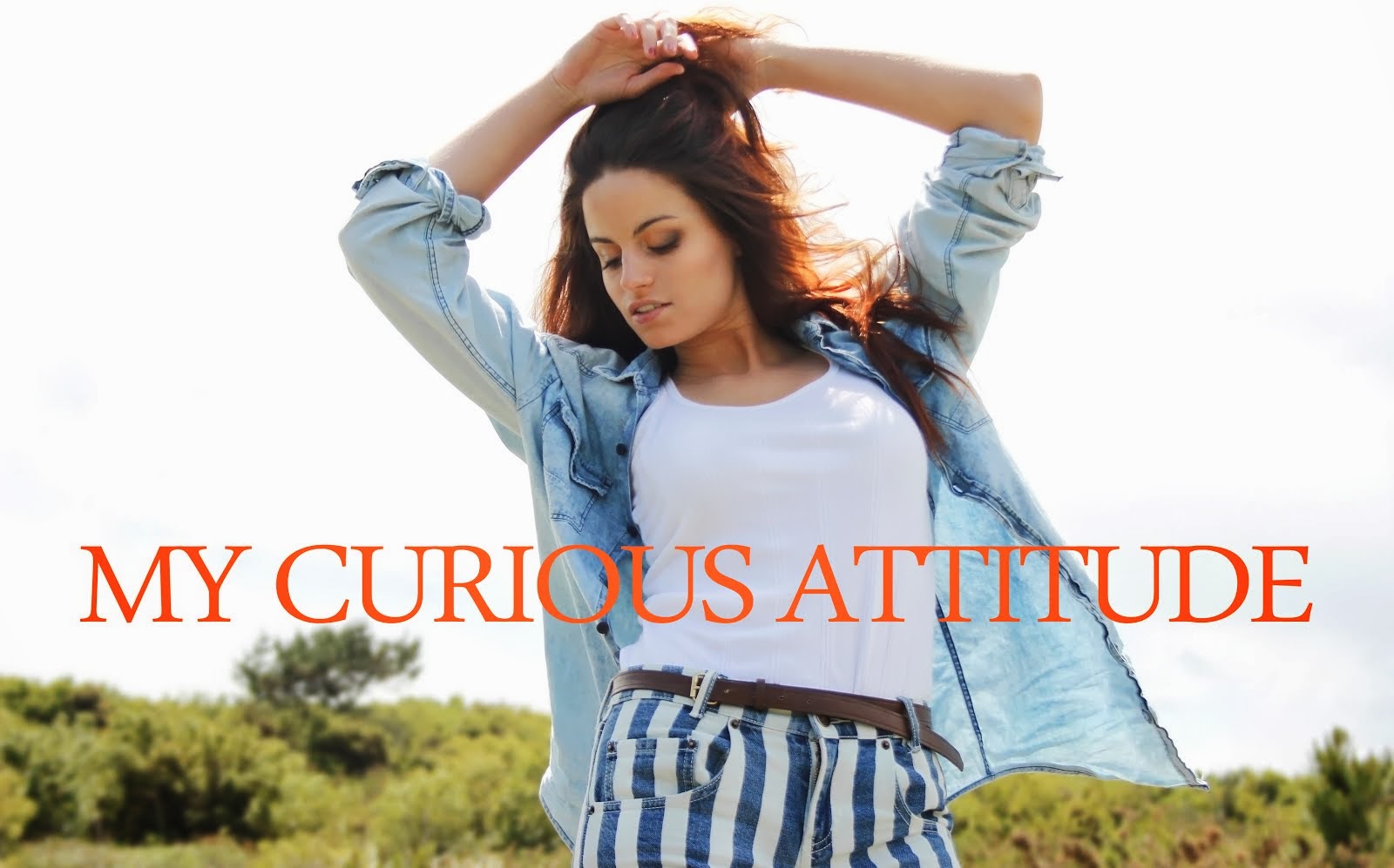 MY CURIOUS ATTITUDE