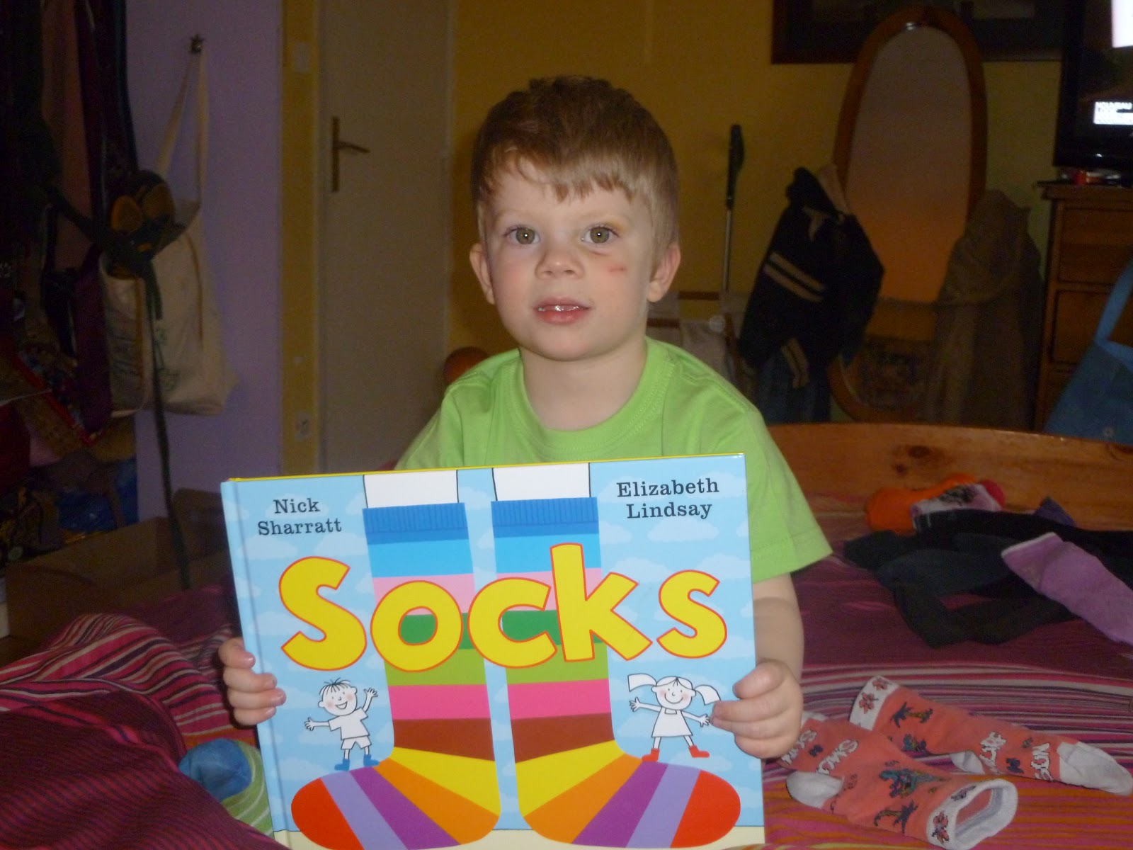 Madhouse Family Reviews Children's book review Socks Nick Sharratt