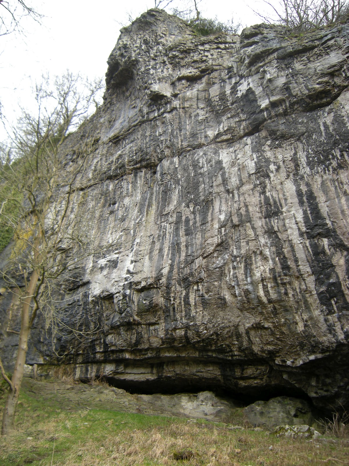 Raven Tor