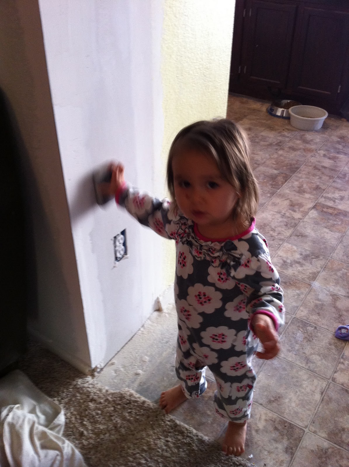 Lady Goats After the drywall comes....