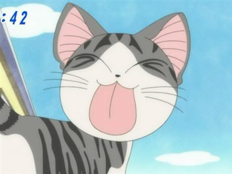 chii cat