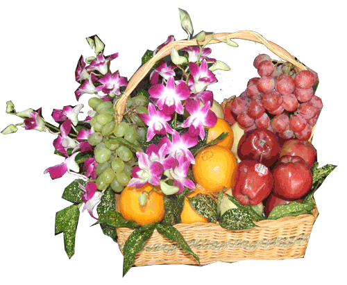 Watch Covert Affairs Episodes on USA Season 5 2014