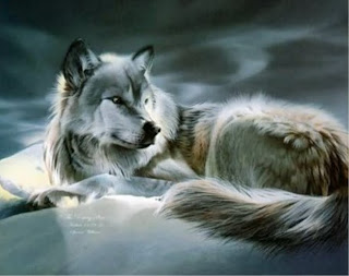 white wolf anime wallpaper wolve white wolf anime wallpaper wolve