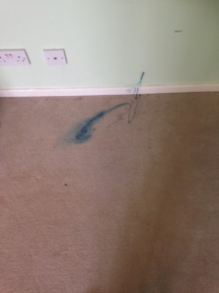 carpet cleaning cambridge