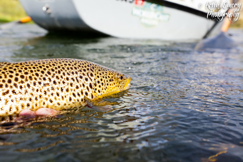 Guided Fishing Trips Huntington Beach Ca Guided Fishing Trips Huntington Beach Ca