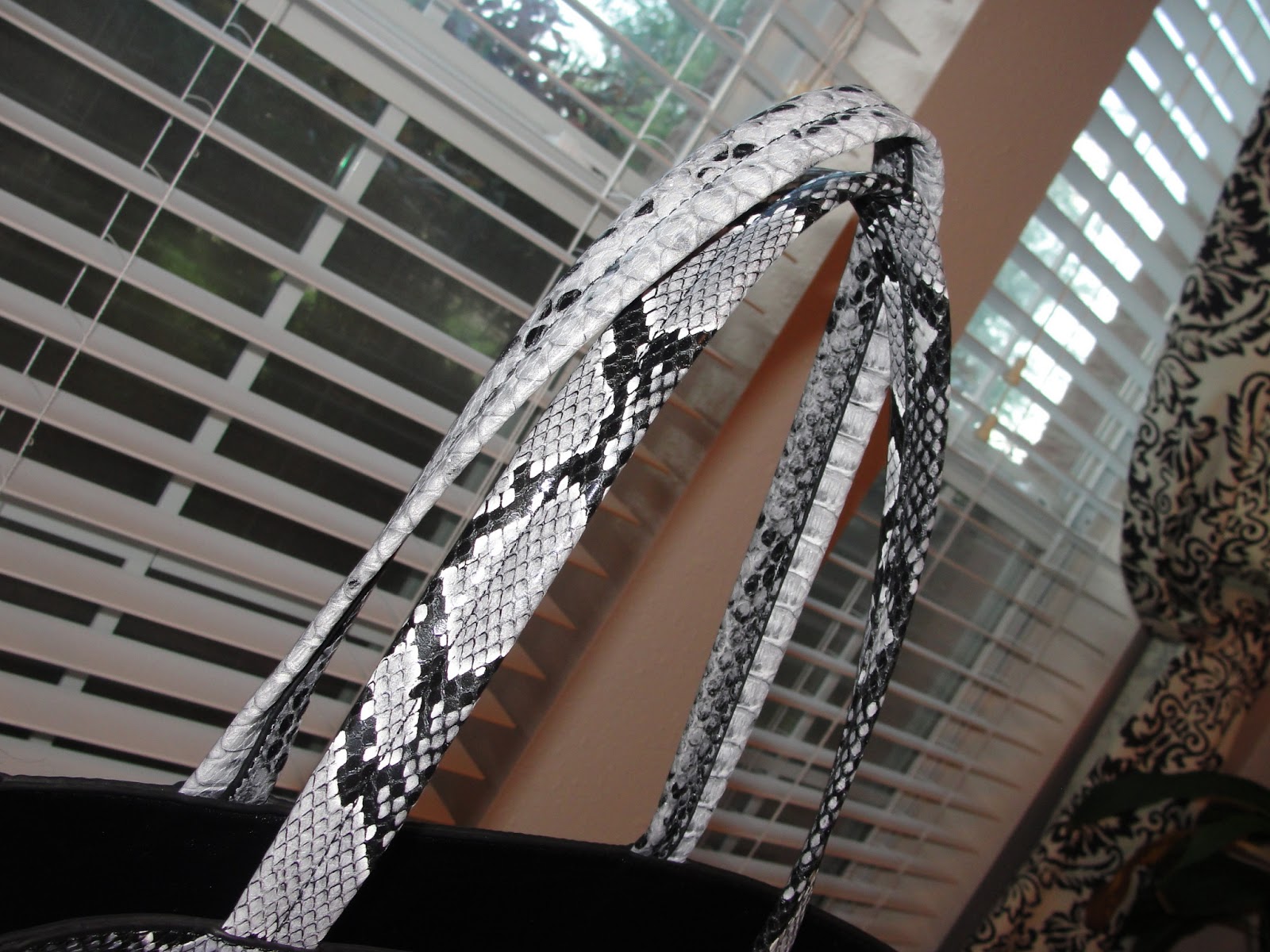 Life is too Short to do Without: Celine-ish Python Bi-Cabas  