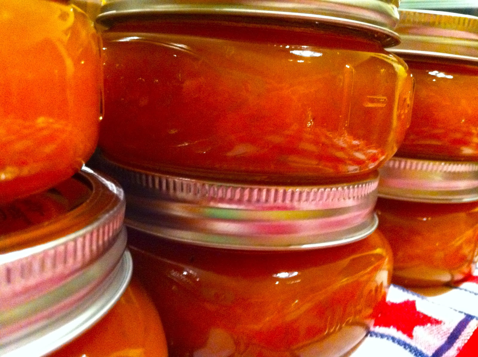 Apricot Ginger Lime Jam