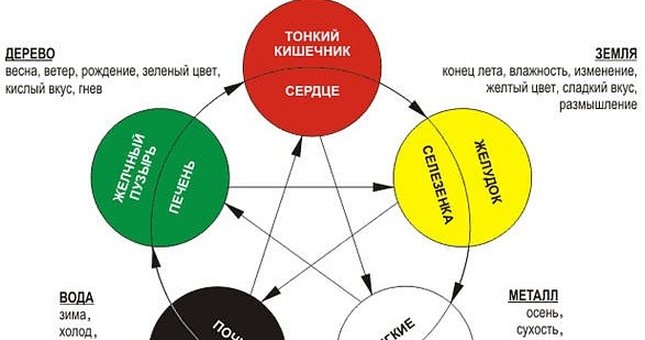 Питание По Системе 5 Элементов Барбара Темели Таблица Скачать