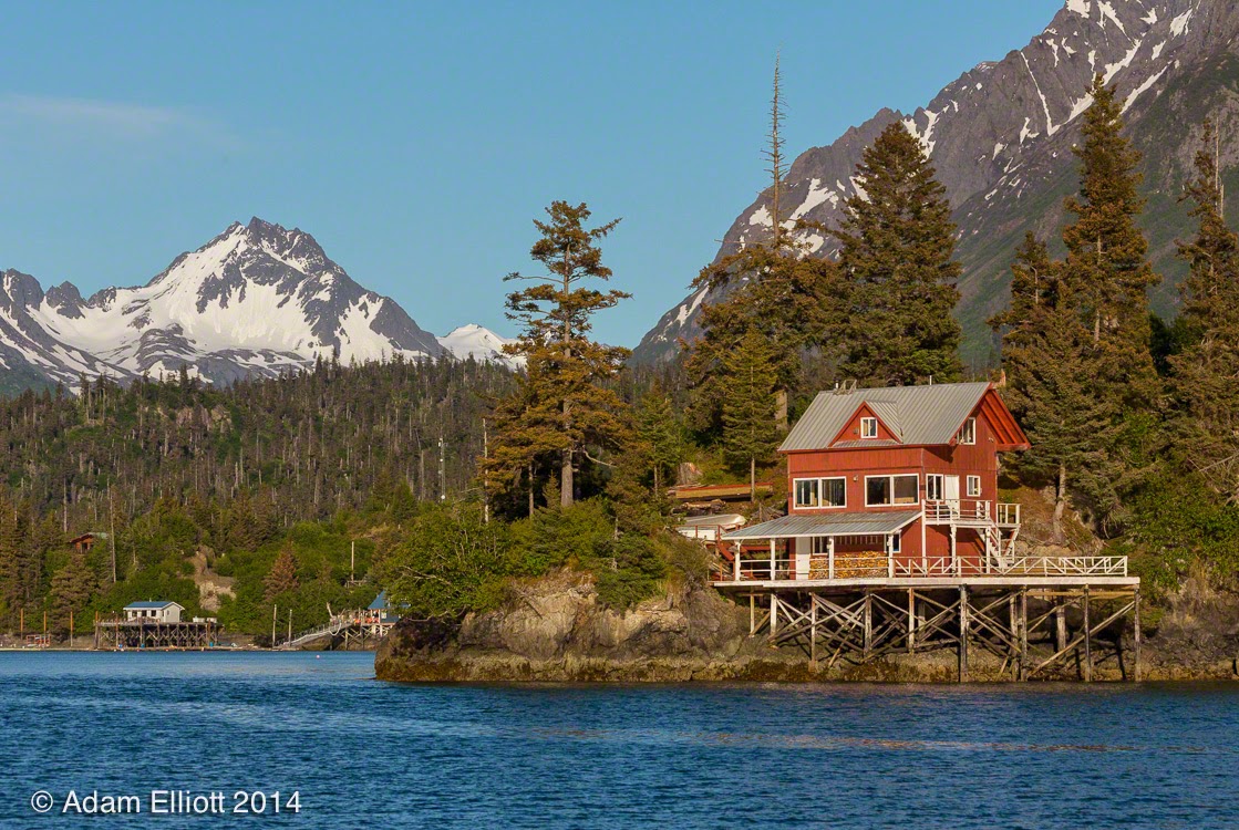 Atom #39 s Picture Blog: Halibut Cove Alaska Atom #39 s Picture Blog: Halibut Cove Alaska