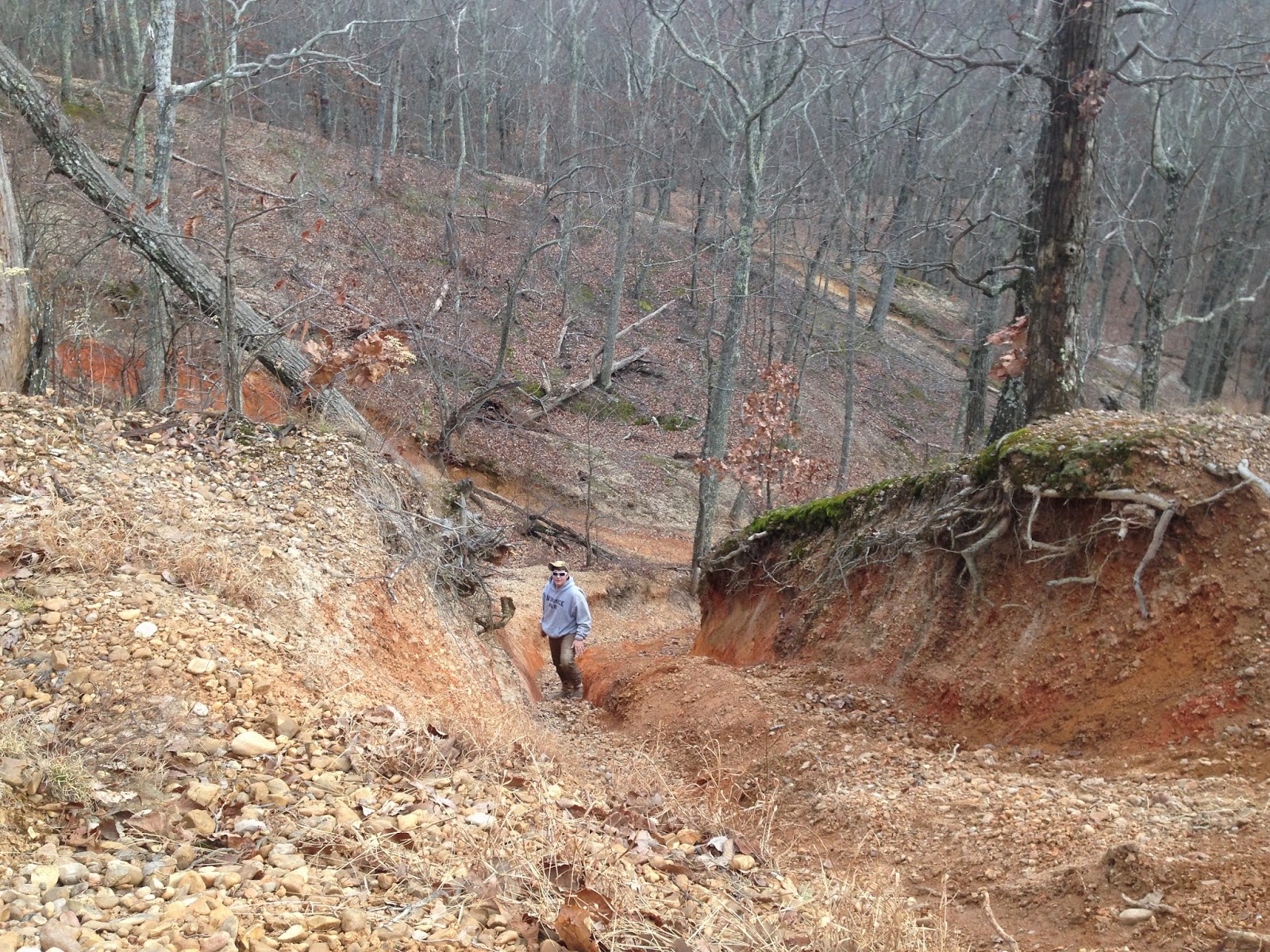 Chafton's Journey Turkey Bay OHV Trails on Kentucky Lake…with GPS tracks