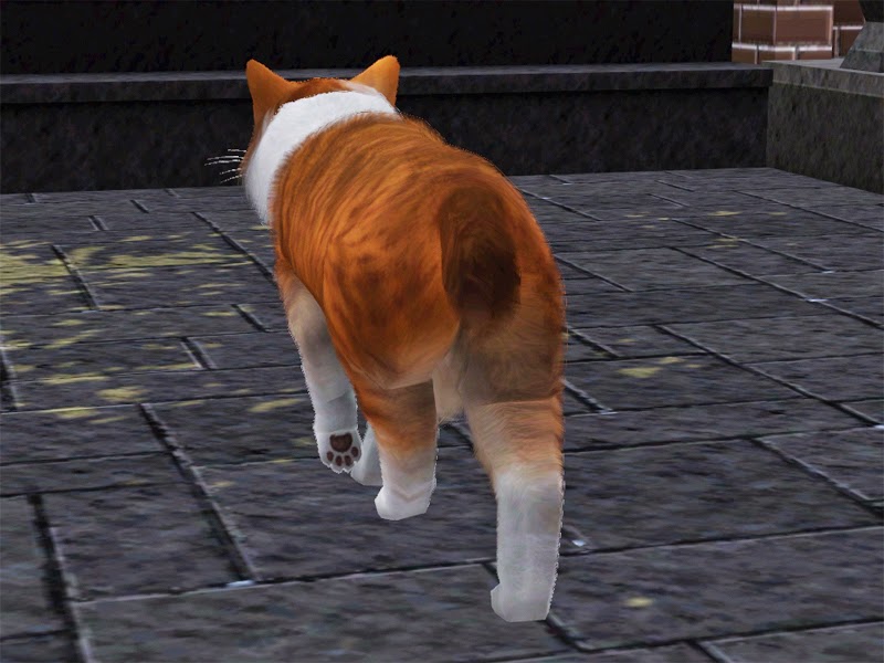 01.jpg
