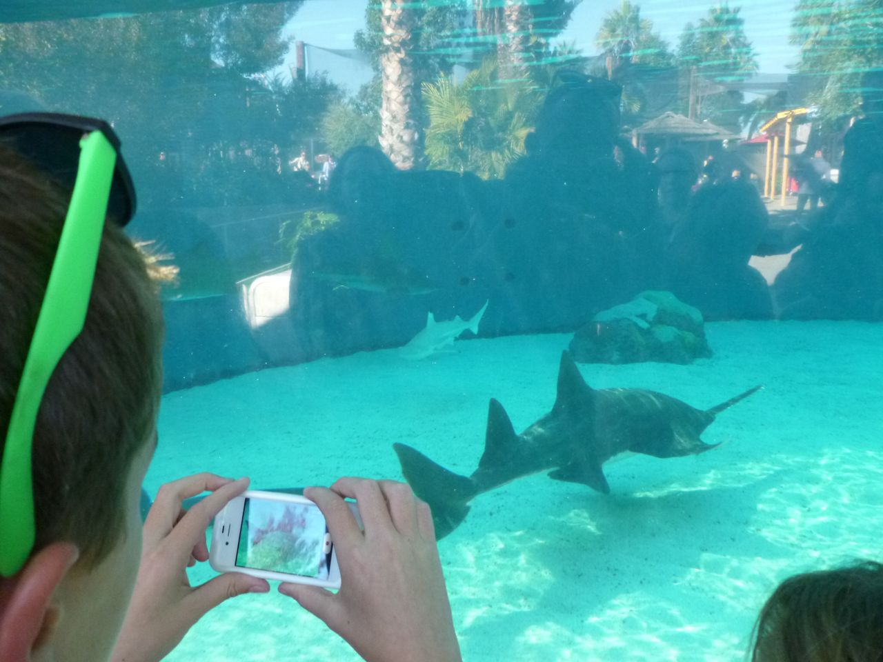 Experiencing Los Angeles Experiencing L.A. at the Aquarium of the