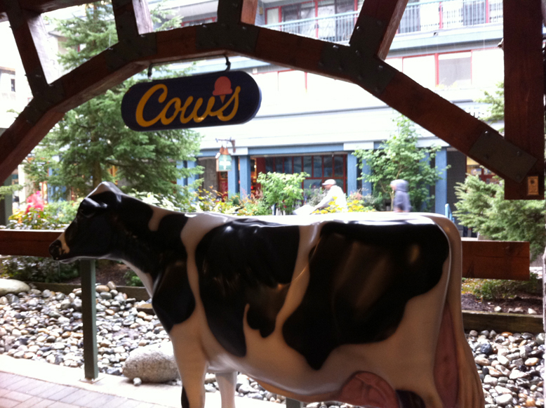 laur'style Icecream Cows