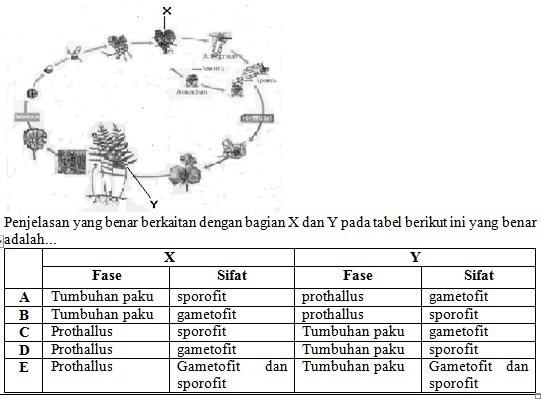 SOAL BIOLOGI KELAS X UN 2011 (TRY) Beriman,Berilmu,Berakal