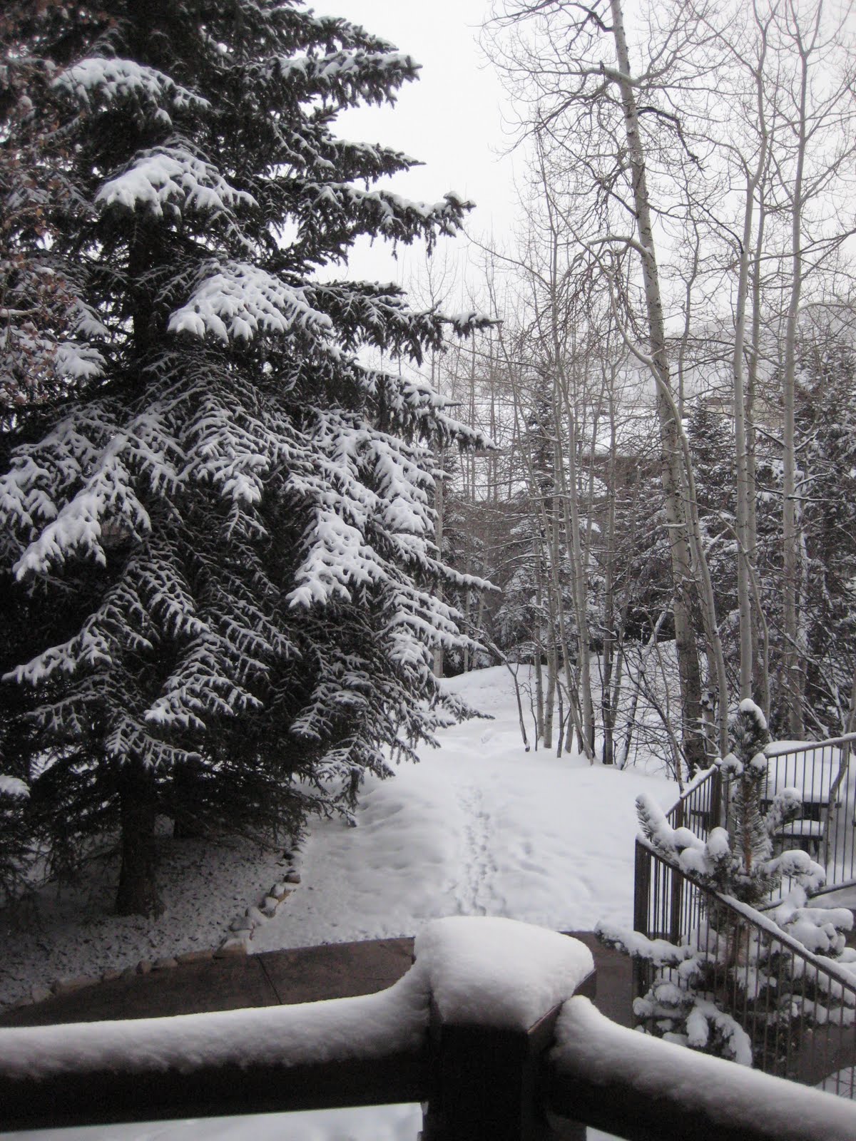 Sensory Overload: Ski Trip to Aspen, Colorado