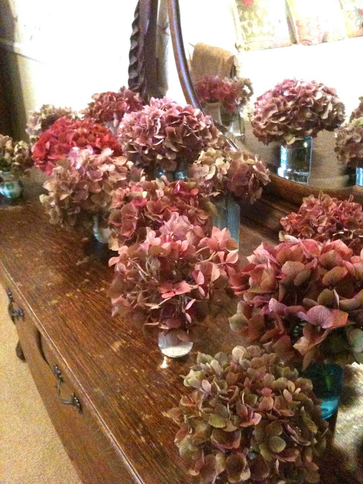 Dried Hydrangeas Knitionary