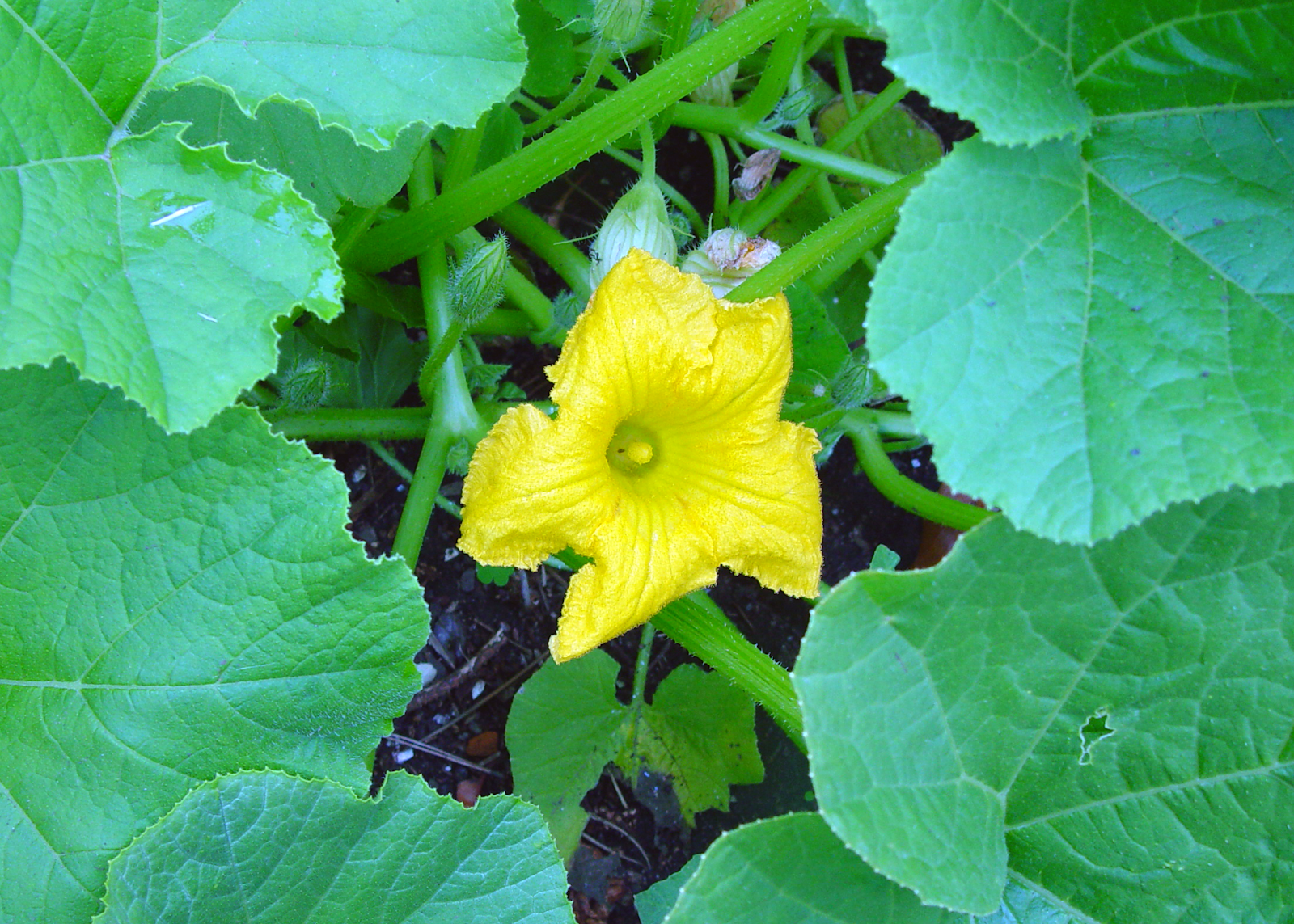 Eden By The Bay November 2011